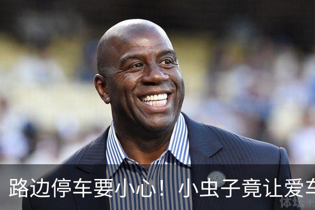 路边停车要小心！小虫子竟让爱车现小洞